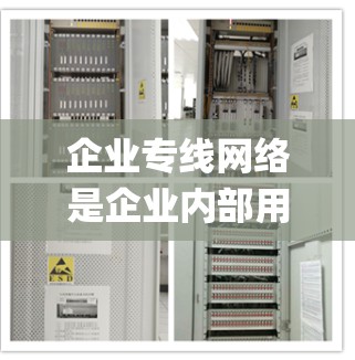 企业专线网络是企业内部用于电话联系的重要网络系统，主要功能包括自动拨号、电话号码分配、trunking 网络管理以及电话亭的维护。以下是详细的解释