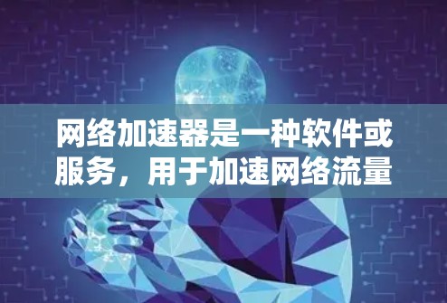 网络加速器是一种软件或服务，用于加速网络流量，提供更快的下载速度和更流畅的体验。网络加速器通常通过优化文件传输、加速下载速度等方法，帮助用户更好地利用网络资源