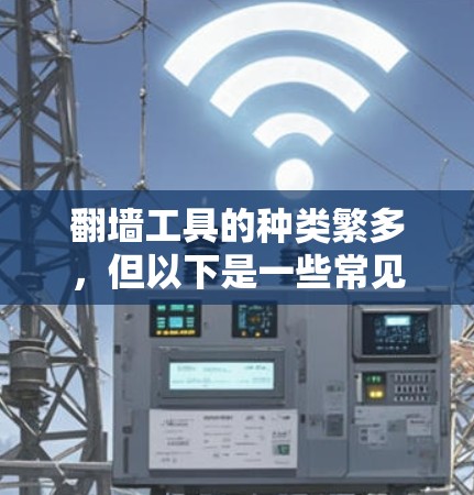 翻墙工具的种类繁多，但以下是一些常见的工具和平台，供你参考