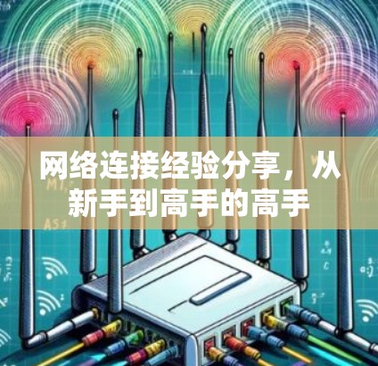 网络连接经验分享,从新手到高手的高手