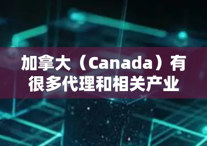 加拿大（Canada）有很多代理和相关产业，这些产业在全球范围内都有广泛的应用和市场。以下是一些主要的加拿大代理线路及其相关领域