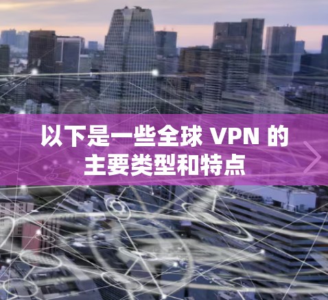 以下是一些全球 VPN 的主要类型和特点